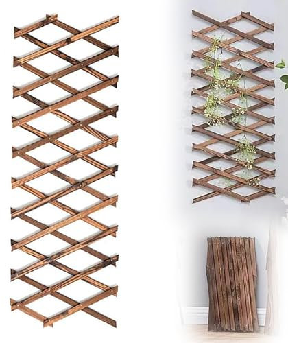 Rankgitter Holz, Erweiterbares Pflanzengitter Ausziehbar bis 200 cm, Ausziehbar Scherenspalier für Kletterpflanzen, Holzgitter Wandpflanzer für Kletterpflanzen, Hängerahmen
