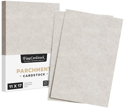 Schreibwarenpapier, Pergamentpapier, 29,5 kg Deckkarton, 27,9 x 43,2 cm, 50 Blatt pro Packung (neues Rauchgrau)