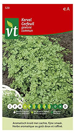 Common Chervil Seeds per gram - Sow Several Times Throughout The Season - 8 g - Seeds per gram: 500