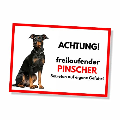 Pinscher Freilaufender Hund Dog Schild Spruch Türschild Hundeschild Warnschild Geschenkidee Sicherheitsschild Hund Privatgrundstück Hundewarnung Warnung vor dem Hund