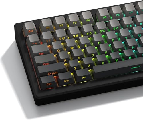 LQXQ PBT 136 Touches Transparentes, Profil Double Shot Cherry Shine Through Keycaps, Touches personnalisées Touches ombrées pour ANSI US claviers mécaniques- Gris(Non Compatible avec ISO-FR Layouts)