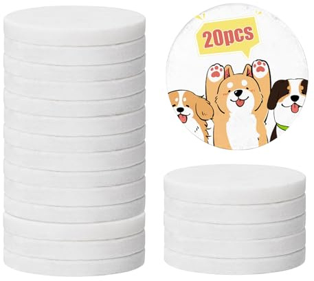 YJSDDNTY 20Stück Weiß Flache Steine zum Bemalen, 5 cm Glatte Kieselsteine, große Glatte Kieselsteine, Mandala und Freundschaft Stein Kunst, Handwerk，Geschenke, DIY und mehr.