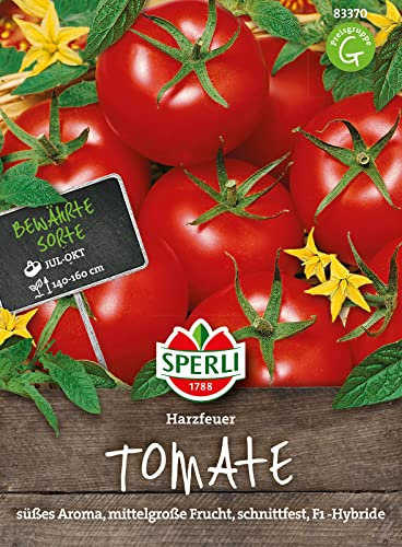 83370 Sperli Premium Tomatensamen Harzfeuer | Süß Aromatisch | Harzfeuer Tomaten Samen | Tomaten Samen | Tomatensamen alte Sorten Freiland | Tomatensamen Resistent | Freilandtomaten samen