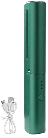 Spazzola per capelli e bigodino antiscottatura 2 in 1 Pettine per lisciare i capelli agli ioni negativi ricaricabile tramite USB per uso quotidiano e viaggi (Verde)