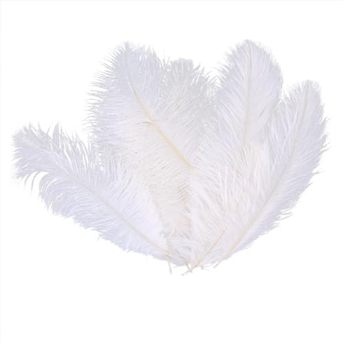 Asudaro DIY Federn Dekoration, 10Stück Bunte Federn 15-20cm Natürliche Feder Handwerk Plume Kostüm Zubehör für Federn Fan Hanging Ornaments Federn Wandschmuck Hochzeit Party Dekoration Weiß