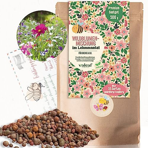Wildblumensamen im Lehmmantel 500 g - Blumenwiese Samen mit Vogelschutz - Bienenfreundliche Wildblumenmischung für bunte Blütenpracht