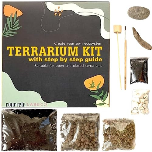 Terrarium DIY Kit for Succulents and Cacti Plants with Step by Step Guide Includes Soil Charcoal Pebbles Sphagnum Moss white Stones Driftwood & Brush (Small)