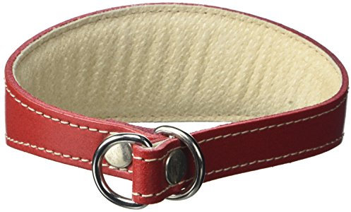 BBD Pet Products Whippet Schlupfhalsband, Einheitsgröße, 1,9 x 30,5 bis 35,6 cm, Rot