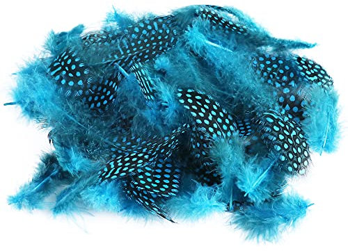 BYNYXI 100 Stück Perlhuhnfedern zum basteln, 5cm Natürliche Perlhuhnfedern Rot Lila Blau Pink DIY Traumfänger Federn Deko Bastelfeder Hühnerfeder für Crafts Kostüme Hüte basteln Zuhause Dekor