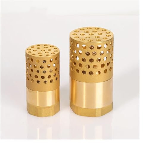 MMFURHHAY 1PCS DN25 32 40 50 BSP Innengewinde Messing Rückschlagventil Einweg-Vollkupferfilter Filter 1 1-1/4 1-1/2 2 for Wasserpumpe (Size : 1-1/4)