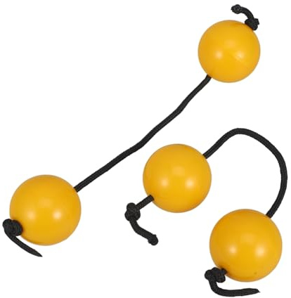 Vaguelly 2pièces Boules De Sable Main Pour Secouer Les Œufs Musique Instrument De Percussion Shaker à Œufs Musical