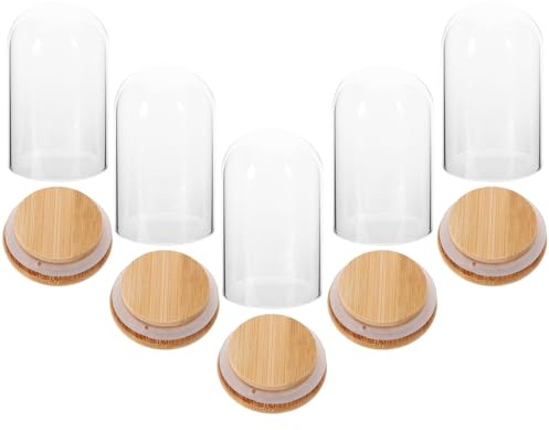 SHINEOFI Lot de 5 Cloches en Verre Transparent avec Base en Liège et Couvercle en Bambou Dôme Décoratif pour Fleurs Éternelles Housse Anti-Poussière pour Exposition et Rangement