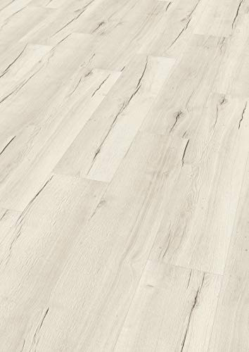 EGGER Home Laminatboden EHL105 Creston Eiche weiss (8mm, 2,542m²) | authentische Holzoptik | | Einfache Verlegung durch CLIC It! System | Praktisch & wertbeständig