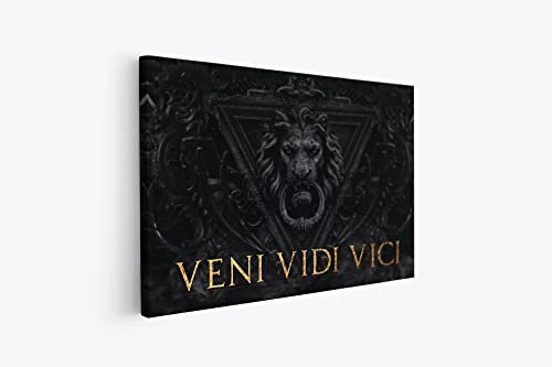 tradercat XXL Motivation-Wandbild - veni vidi vici - Poster für Erfolg und Fitness, Leinwand und Poster komplett und aufhängefertig (105 x 140 cm)