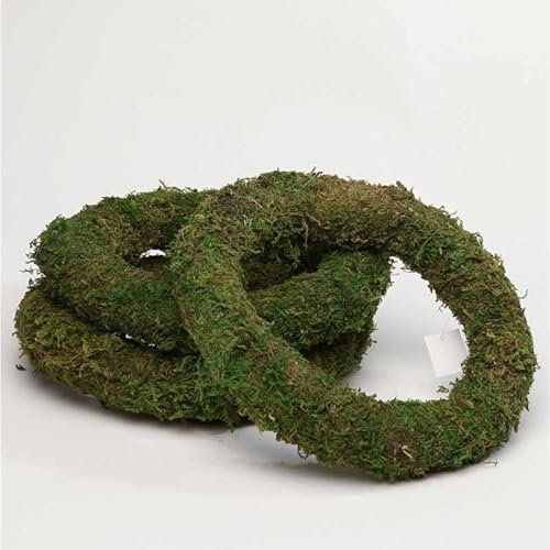 Floralcraft 8 (20cm) Moss Wreath Ring - Pack of 4, Floristry Craft Supplies Moss Ring Bases and Frames for Wreath Making, Christmas Decorations, Funeral and Grave Arrangements