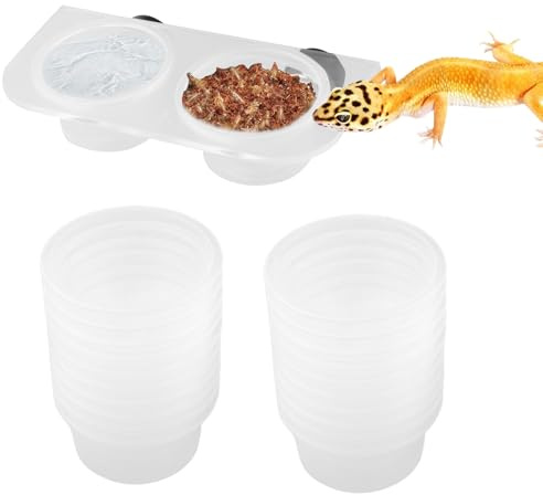 Gecko Foder magnetiskt skal med 20-pack plastmatskål stark magnetisk reptilfoder sköldpadda foder kameleont vattenkopp