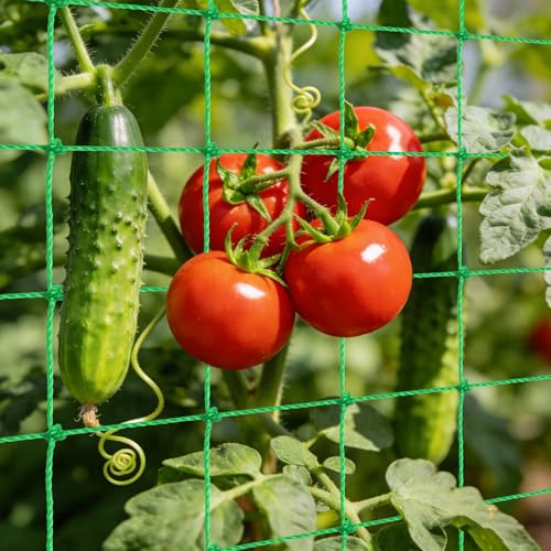 Red para Plantas Trepadoras, 1.8 x 3.6M Malla para Plantas Trepadoras, Red Enredadera Malla Entutorar Guisantes, Red de Enrejado Jardin, Red de Jardin para Pepino, Tomates, Flores, Verduras, Frutas