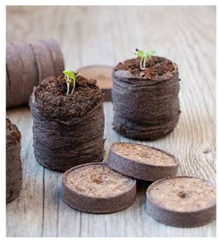 Nature Pastilles de tourbe compressées