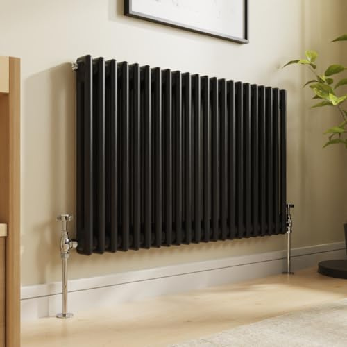 NRG Radiatore tradizionale in ghisa, 600 x 1010 mm, 2 colonne, perfetto per cucina, soggiorno, bagno
