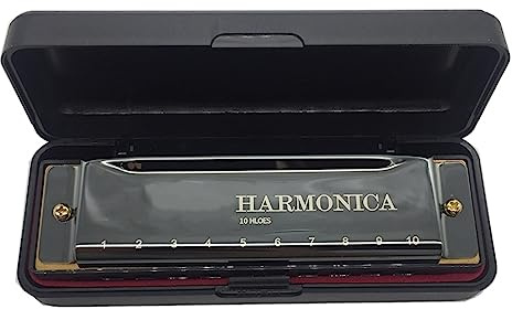 Mundharmonikas Diatonische 10-Loch-Mundharmonika mit Koffer, Harfenstimmung, Musikinstrument, C-Ton-Mundharmonika (Color : Bk)