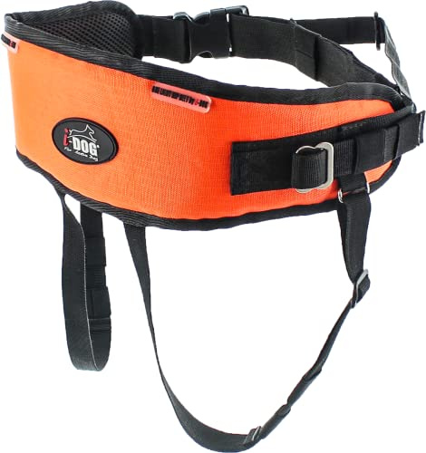 Gurtschlaufe One Light, ideal für leichte Schablonen/Kinder, Farbe Orange, Einheitsgröße, Canicross, Canirando, Canitrail, intensive Nutzung Sport oder Freizeit, I-dog französische Marke.