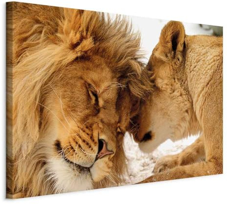 B&D XXL - Akustikbild Löwe Bilder Akustikschaum Hochleistungsschallabsorber Schallschutz Leinwand 1 tlg Wandbild Raumakustik Schalldämmung Löwen Liebe Afrika Tier g-B-0034-b-c