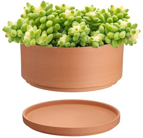 SUMTree Terrakotta-Blumentöpfe, 15 cm Durchmesser, flacher Blumentopf für Innen- und Außenbereich, rund, Sukkulenten-Blumentopf mit Drainageloch, Tontöpfe, Bonsai-Topf, flacher Pflanztopf