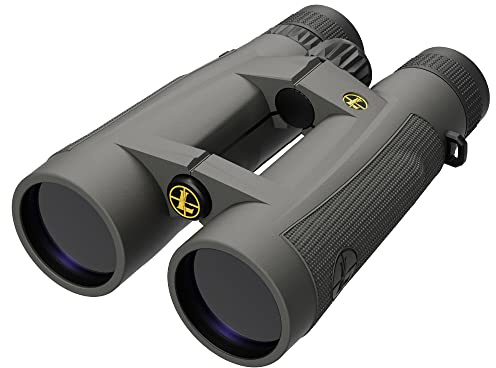 Leupold BX-5 Santiam HD Binoculars, 15x56mm (172457)