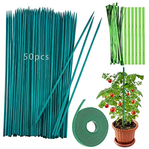 Lot de 50 bâtonnets de plantes 38 cm - Bâtons de fleurs verts en bambou et 50 rubans métalliques - Avec 1 ruban pour plantes grimpantes - Extension du support pour plantes
