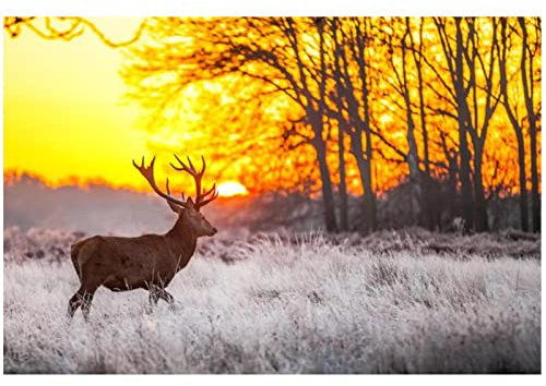 Wandbilder Modern Vintage Lein Wandbild Die natürliche Landschaft Von Elchen Auf Dem Weißen Gras Im Wald Bei Sonnenuntergang Gedrucktes Poster Wanddekoration 40x60cm (Ungerahmt)