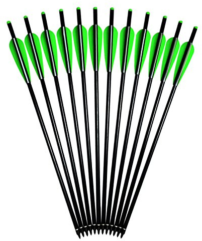 Aluminium Crossbow Bolts 16 Inch Archery Arrows with 4 Vanes Replaced Arrowhead Tip (Pack of 12)
