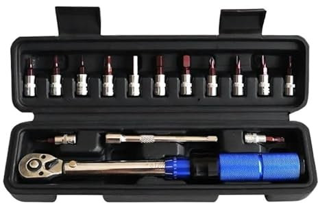 wangfq Llaves Allen Kit de reparación de Motocicletas, Juego de Llaves dinamométricas, 15 Uds., 1/4 , 2-20Nm, Doble dirección, Llave Allen for Bicicleta, Llave Inglesa Llave Allen