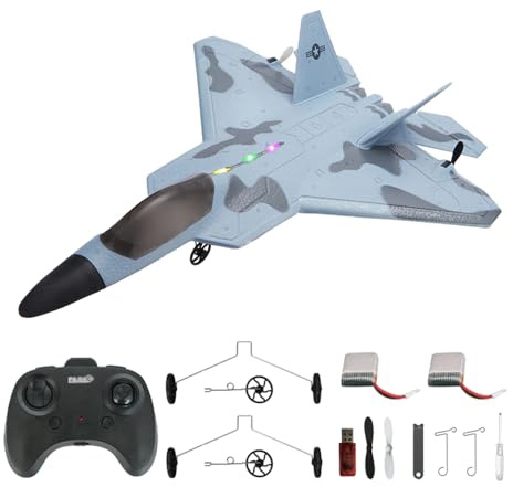 SAYZON Avion RC F22 Raptor modèle 2CH LED RTF P530 RC Jet pour extérieur 2,4 GHz RC Planeur d'avion avec 2 Batteries