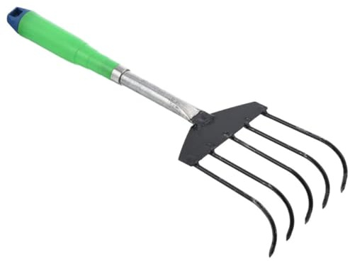 FESTFENDS Râteau à Main à Griffes pour Palourdes, en Acier Inoxydable, 5 Dents, Outil de Plage pour Fouiller Le Sable et Ramasser Coquillages Couleur Aléatoire
