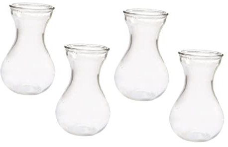 DECHOUS Glasvase 4 Stück Hyazinthenvase Klar Glas Behälter Hydrokultur Vase Für Blumen Dekoration Tischpflanzer Zuhause Büro Balkon