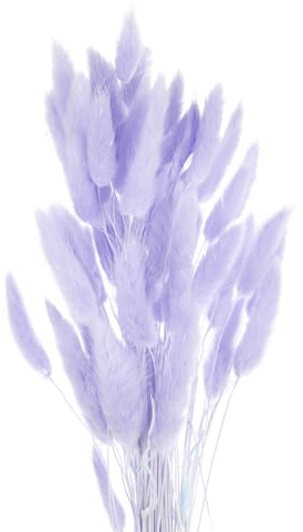 QUARKZMAN Hasenschwanzgras Getrocknet - Lila/Violett, 60 Stück Getrocknete Blumen, 40cm Pampasgras Natürlicher für Florale Hochzeitsdekoration Weihnachten