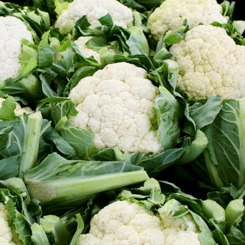 semillas de coliflor, decoración rara variedades antiguas 80pcs
