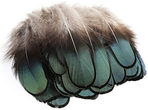 Mwoot 50 stück Natur Dekoration fasan Federn für Kostüme, Hüte, basteln, Zuhause Dekor, DIY
