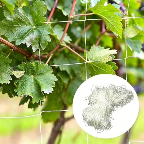 Pflanze Spalier Netz, Verdickung Pflanzennetz, Großer Maschenweite Pflanze Spalier Netz, Geeignet für Tomaten, Trauben, Bohnen, Melonen, Gurken, Luffa (1,6 m x 5 m)