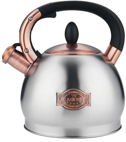 Bouilloire sifflante de 2,8 l pour induction, en acier inoxydable, convient à tous les types de plaques de cuisson