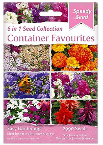 Speedy Seed 6 in 1 Seed Collection Range for Easy Gardening (Container Favourites)