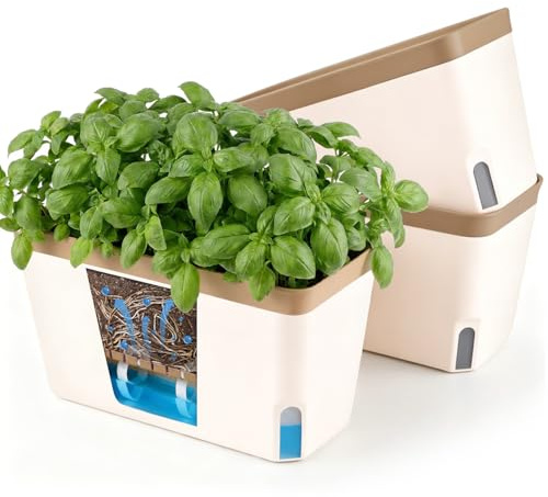T4u Maceta autorriego Rectangular 27 cm, Set 3, maceteros Decorativos Interior, Plantas pequeñas hogar Oficina, riego reducido, Uso práctico, no Apto Vegetales Grandes sensibles Humedad
