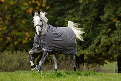 Horseware Amigo Bravo 12 Turnout Lite 0g - Excal/Plum & Silver