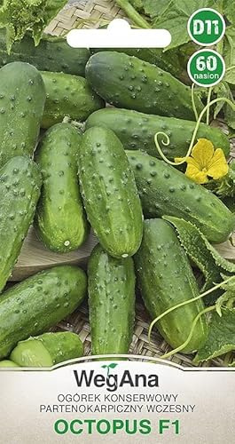 WegAna Pepino Octopus F1 60 semillas Semillas de Hortalizas Robustas y Productivas Semillas de Cultivo para Invernadero Frutas de Calidad