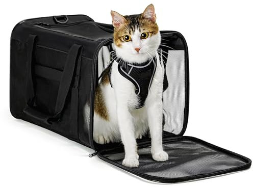 Conlun Katzentransportbox,Weiche Katzentransporttasche mit 4-seitigem Netz, Flugzeugtaugliche Katzentasche für Kleine&Mittelgroße Katze Kätzchen Welpen bis 6 Kg, Hundetransportbox Faltbar-M, Schwarz