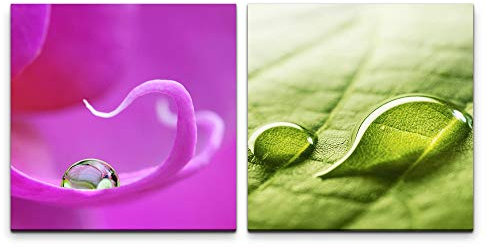 Paul Sinus Art Wandbild 2x60x60cm Orchidee schöne Blume Wasserperle Wassertropfen Pink Grün Makrofotografie