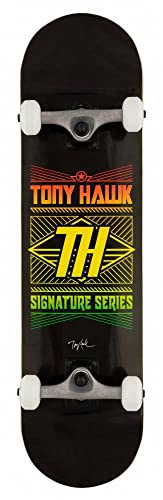 Tony Hawk Skateboard completo 180+