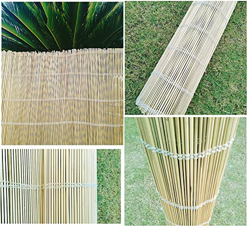 Z&Q Garden Peeled Reed Screening Fence Cord Chain Stitched Hand-Woven Durable Roll Panel Best for Outdoor Privacy Walls Sun/Wind Protection (1x6m Fence)