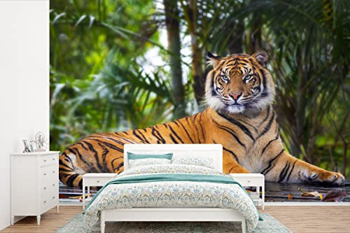 MuchoWow Papier peint Tigre - Animaux - Forêt - Jungle Papier peint photo 525x350 cm Papier peint imprimé
