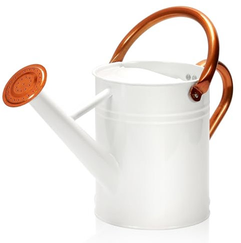 Ausluru Regadera de metal con boquilla extraíble, regadera galvanizada, regadera perfecta para uso en interiores y exteriores (1 galón, blanco)